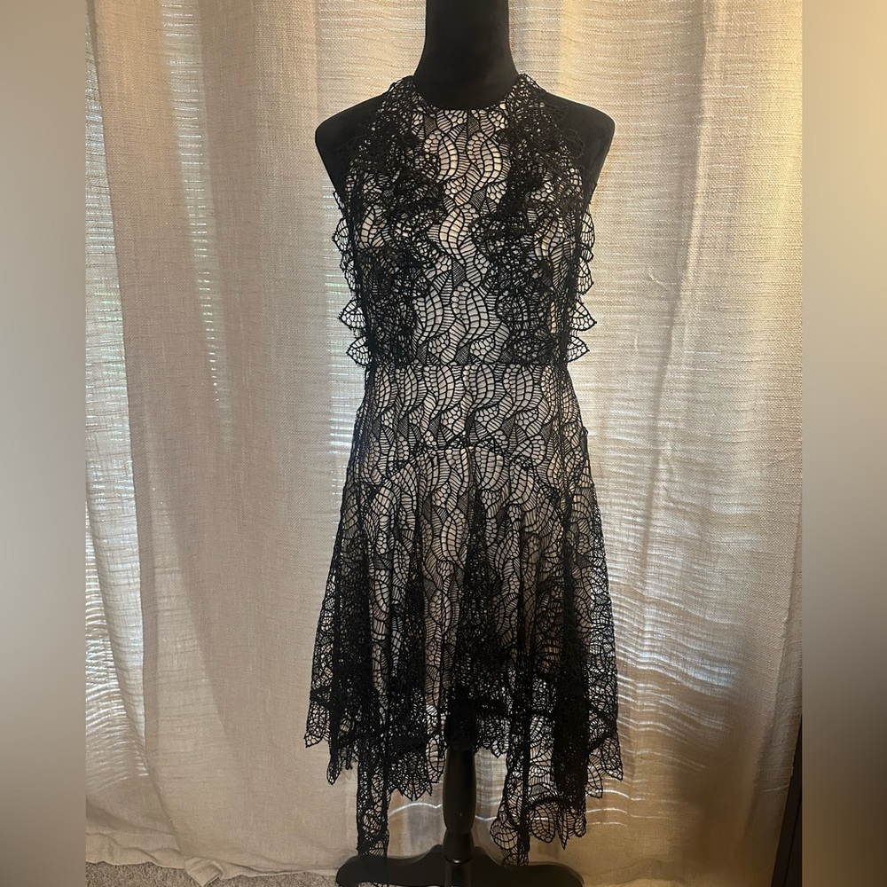 Acler Black Lace Asymmetrical Dress